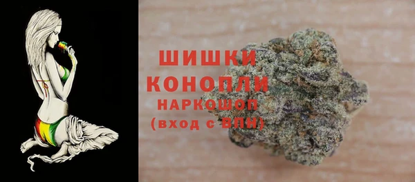 прущие грибы Баксан