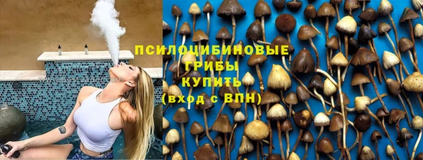 прущие грибы Баксан