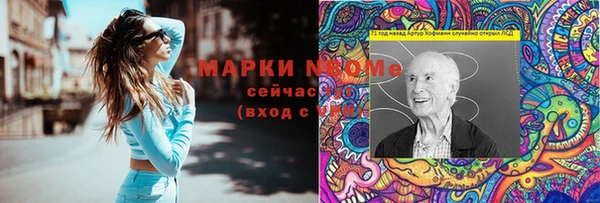 прущие грибы Баксан