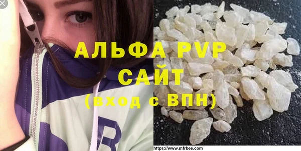 прущие грибы Баксан