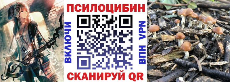 Псилоцибиновые грибы мухоморы  что такое   Балахна 